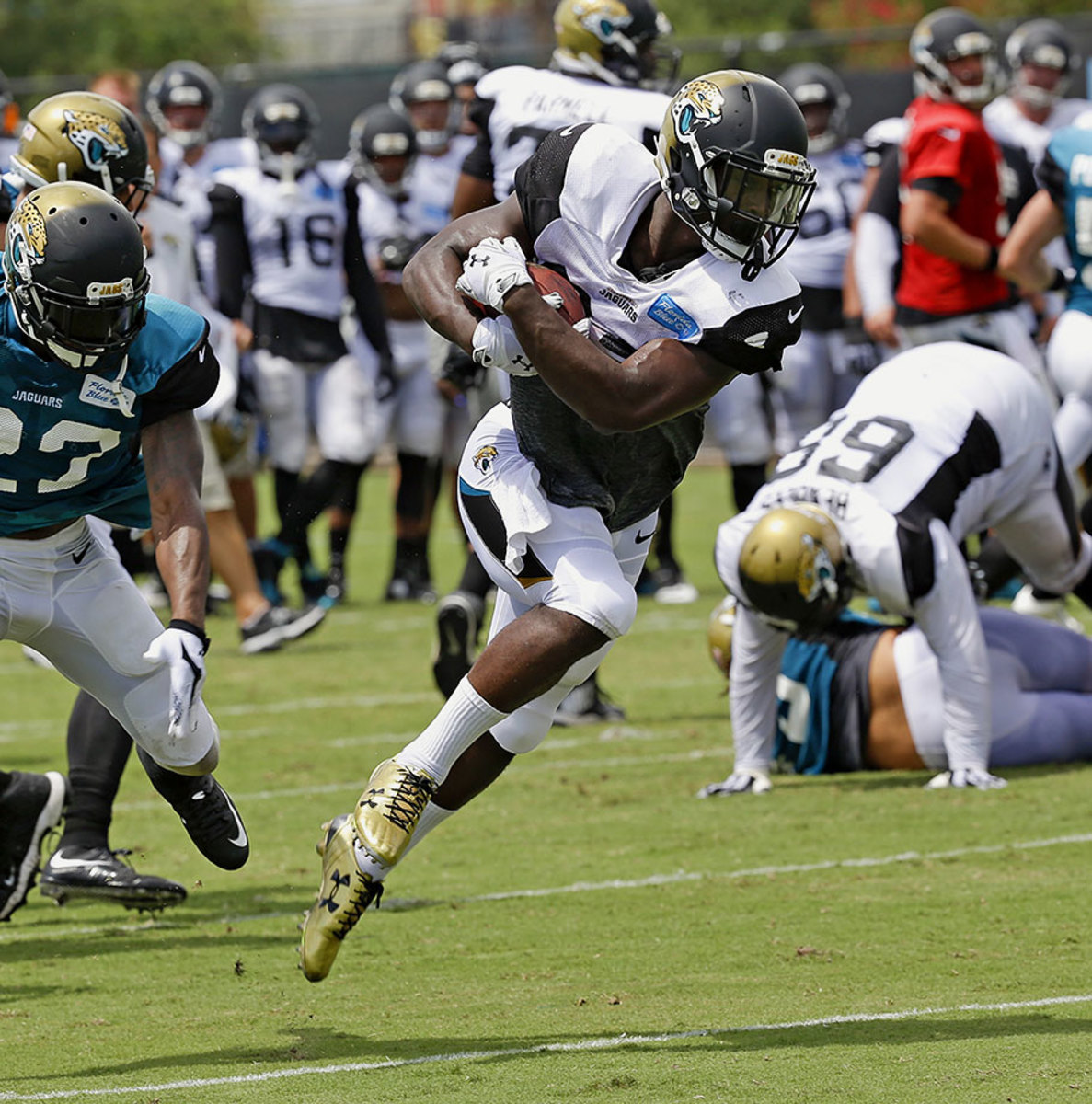 TJ-Yeldon.jpg